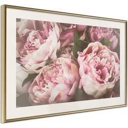 Arkiio Affisch Pink Peonies [Poster] 30x20 Poster